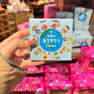 KALDI 情人节期间限定 世界的感谢语言独立包装巧克力 蓝色包装 10个入（任意路线可发）