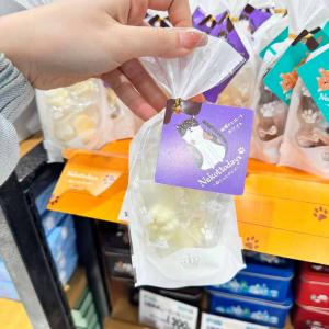 Nekototodays 猫爪肉球白巧克力 29g5个入（缺货退款）（任意路线可发）