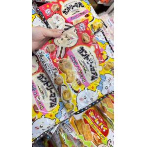 不二家FUJIYA chiikawa吉伊卡哇 香草&布丁味软曲奇 16枚入（不可发低价值包税线）